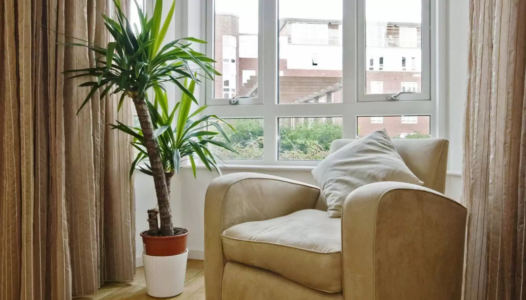 Single or Double Pane Windows – Which One You Should Choose? 